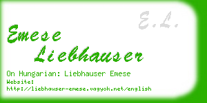 emese liebhauser business card